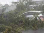 Mobil-Toyota-Avanza-tertimpa-pohon-tumbang-yang-tumbang-di-Jalan-Ahmad-Yan-lisus.jpg