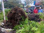 POHON-TUMBANG-Sejumlah-pohon-tumbang-usai-hujan-deras-disertai-angin-melanda-kota-Solo.jpg