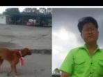 Pemuda-di-Bengkalis-Riau-ini-kalungkan-bendera-ke-seekor-anjing.jpg