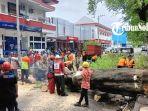 Pohon-tumbang-depan-Telkom-Solo.jpg
