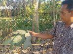 Polusi-debu-di-karanganom-klaten.jpg