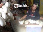 Puluhan-telur-ular-Jali.jpg