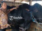 Sapi-kurban-sragen.jpg