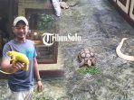 Suasana-Mini-Zoo-Taman-Kemuning-di-DusunDesa-Kemuning-Ngargoyoso-Karanganyar.jpg