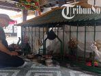 Tempat-petilasan-Mangkunegara-I-Sendang-Siwani-yang-terletak-di-Dusun-Matah.jpg