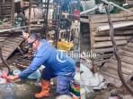 Warga Sragen Panik! Ular Kobra Sepanjang Satu Meter Muncul di Dapur Rumah 