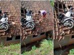 Viral-2-Bocah-Perempuan-dan-Motornya-Tersangkut-di-Atas-Atap-Rumah-Warga.jpg