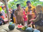 Wisata-petik-buah-di-klaten-hamenang.jpg
