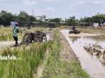 balap-traktor-di-klaten-nih.jpg