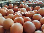 ilustrasi-Telur-Sragen.jpg