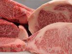 ilustrasi-daging-kobe-grade-a5-jenis-wagyu.jpg