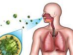 ilustrasi-virus-corona.jpg