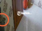 pencuri-rumah-selepan.jpg