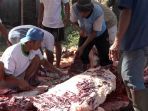 proses-pemotongan-sapi-kurban-pt-bintang-toedjoe_20180823_145224.jpg
