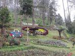 salah-satu-sudut-taman-di-ptenggir-park-yang-kerap-jadi-lokasi-selfie.jpg