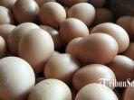 telur-retak-harga-telur-naik.jpg