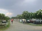 tpi-pracimaloyo_20171005_134951.jpg