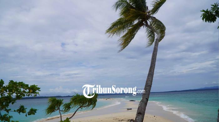 PULAU MATAN - Pasir putih dan laut jernih di Pulau Matan, Kabupaten Raja Ampat, Papua Barat Daya, Kamis (5/3/2026). Dengan luas hanya sekitar 5.000 meter persegi atau setengah hektare, Pulau Matan seolah menjadi halaman kecil surga yang terapung di lautan.