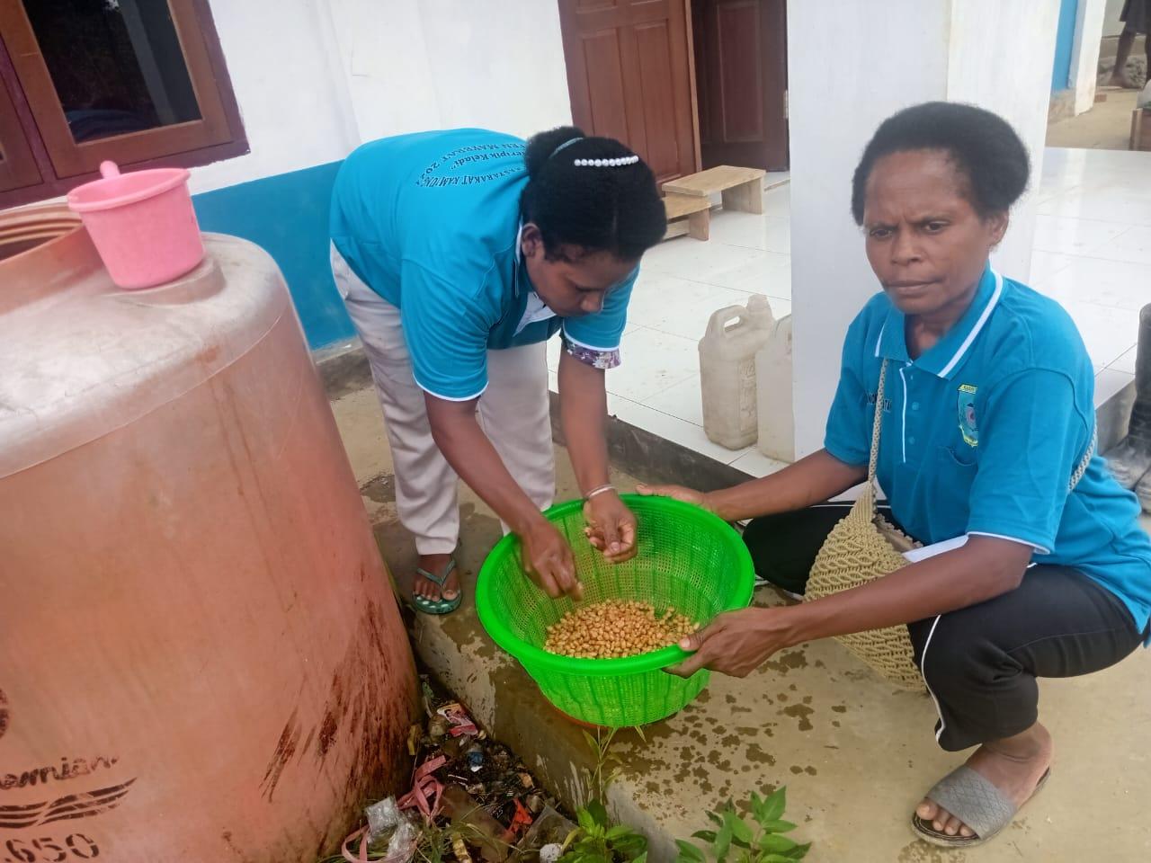 Pelatihan Olah Keladi dan Kacang Tanah di Maybrat Dukung Edaran Pemerintah Konsumsi Pangan Lokal
