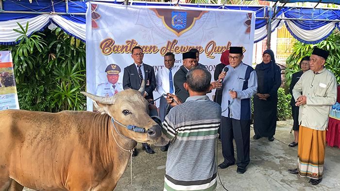 20240614_bantuan-hewan-kurban-pemkot-sorong.jpg
