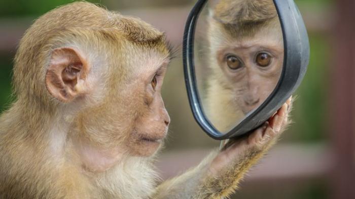 Ada Sagitarius dan Virgo, Ini 4 Bintang Punya Sifat Zodiak Suka Introspeksi Diri, Always Be Better