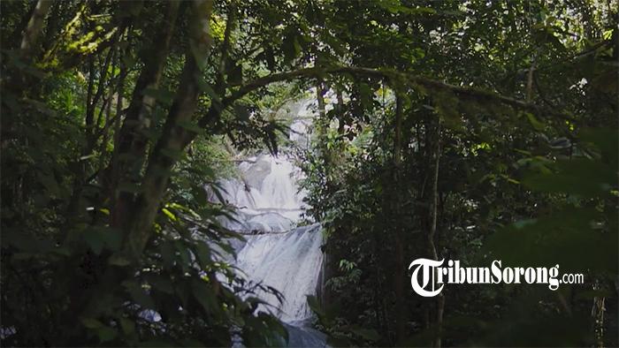 20250319_hutan-adat-di-papua-barat-daya.jpg
