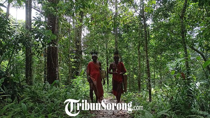 20250424_hutan-adalah-apotek-bagi-warga-sorsel.jpg