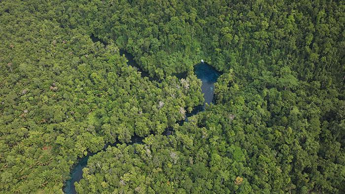 Hutan dan Laut Papua Barat Daya Menjanjikan, Gubernur Ingatkan Hak Masyarakat Adat