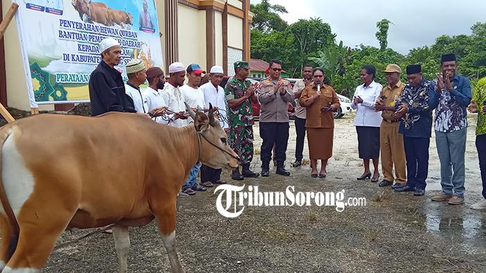 20250603_petronela-krenak-serahkan-sapi-kurban.jpg