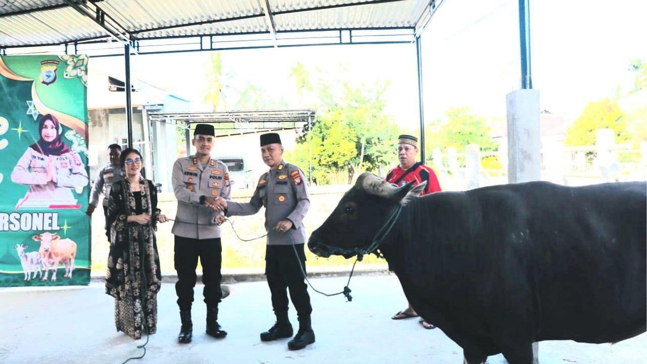 Polres Sorong Gelar Pemotongan Hewan Kurban Sambut Iduladha 1446 H