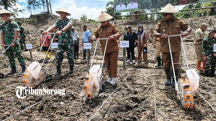 20250925_program-tanam-jagung-di-sorong-selatan.jpg