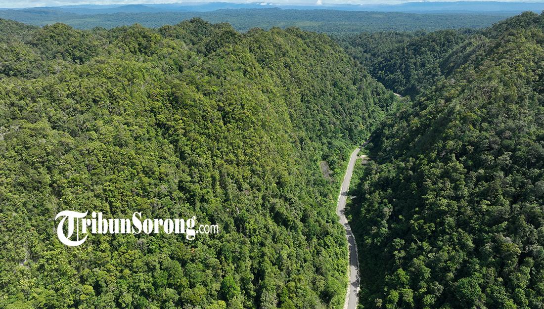 20260222_jalan-di-sorong-selatan.jpg