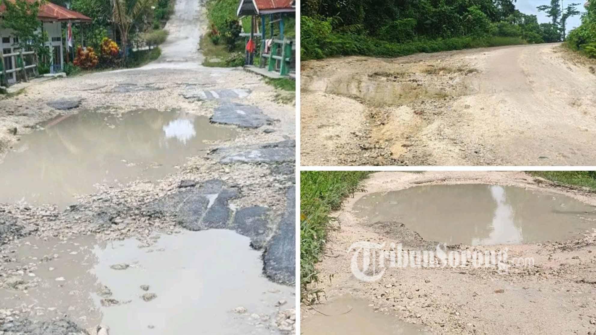 Warga: Pemerintah Tolong Perbaiki Jalan Waigo-Moswaren Sorong Selatan
