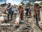 20250925_program-tanam-jagung-di-sorong-selatan.jpg