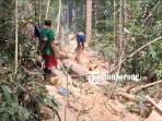 20250928_pembalakan-liar-di-kampung-bariat-sorong-selatan.jpg