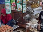 20251013_harga-telur.jpg
