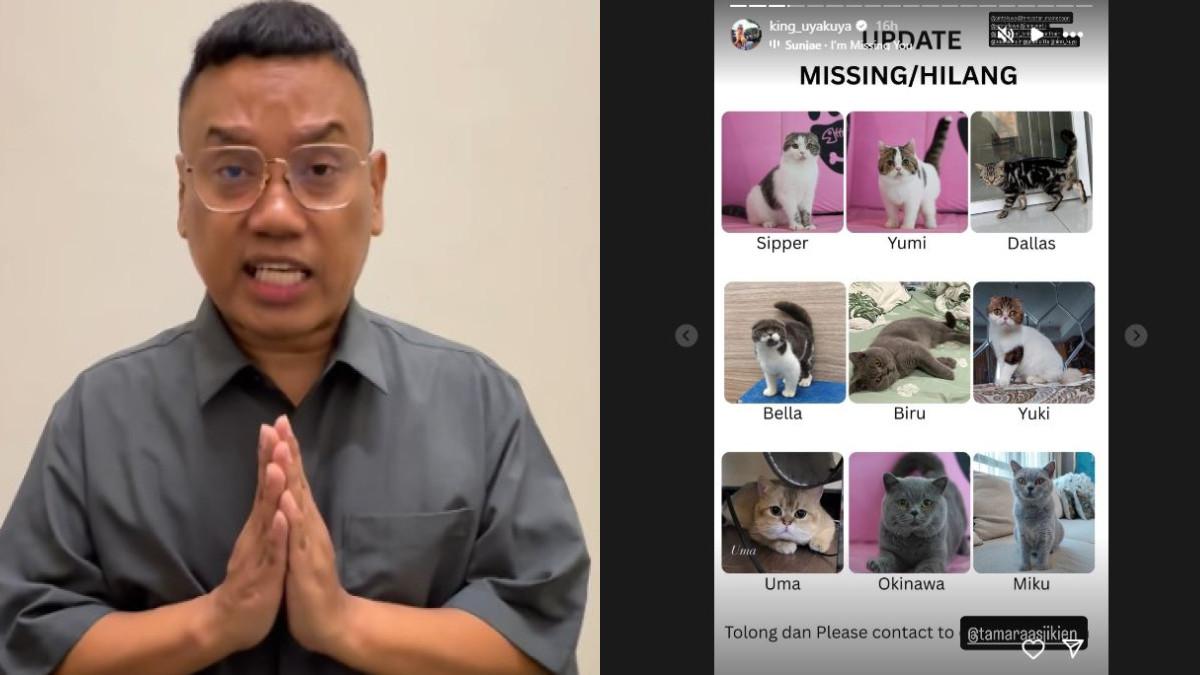 KUCING HILANG - 5 Kehidupan Uya Kuya berubah usai rumah dijarah, kini naik taksi hingga pilu pikirkan nasib kucing.
