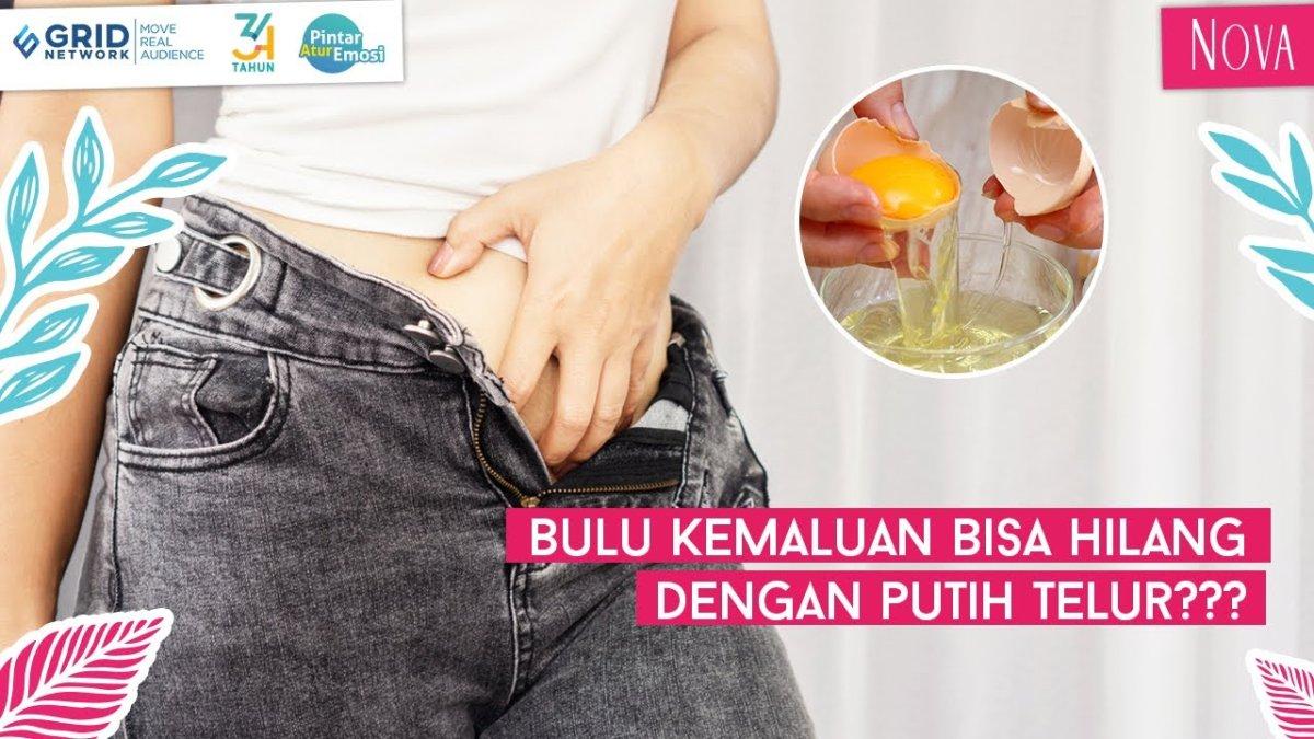 5 Cara Hilangkan Rambut Miss V Dengan Bahan Alami, Tanpa Perlu Mencukur dan Tak Khawatir Sakit