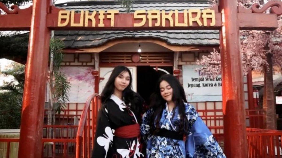 WISATA LAMPUNG - Bukit Sakura Kemiling, Bandar Lampung, Lampung