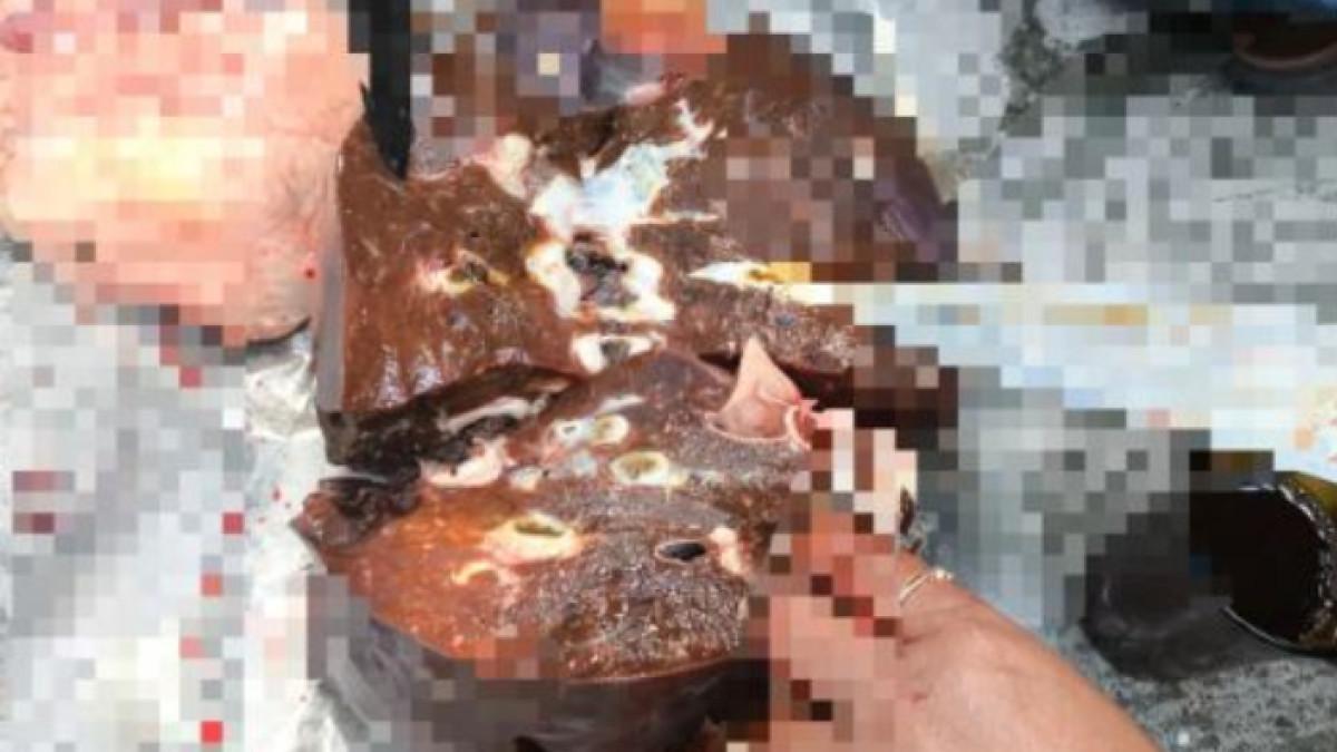 Dinas Ketahanan Pangan dan Pertanian Kabupaten Klaten menemukan hewan kurban sapi, terinfeksi cacing hati.