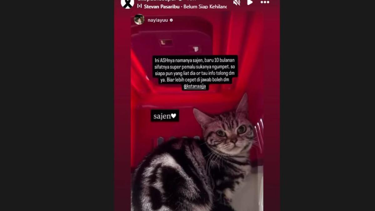 KUCING HILANG - Eko Patrio membagikan ulang unggahan Instagram Story dari putrinya, Nayla Ayu yang menunjukkan betapa sedihnya mereka.
