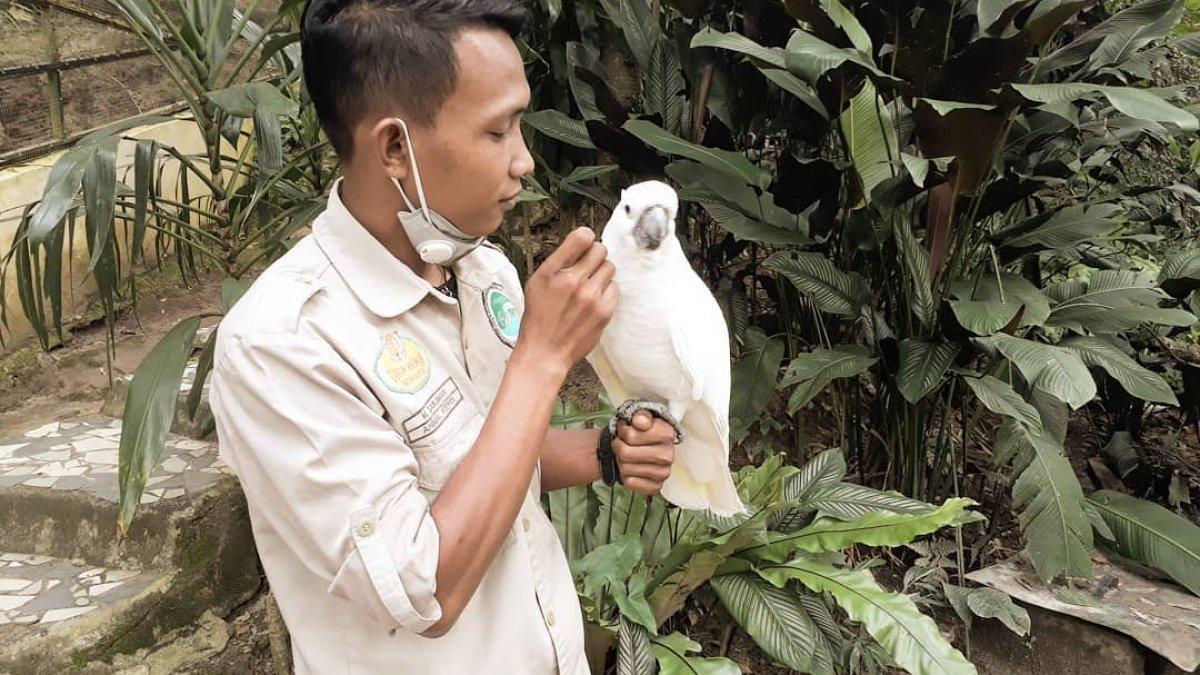 SIANTAR ZOO - satu tempat wisata hits di Pematang Siantar, Sumatera Utara