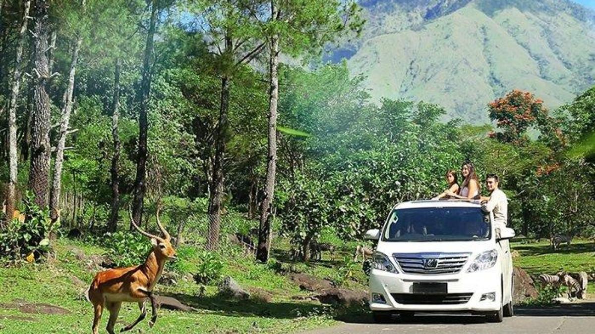 HARGA TIKET - Taman Safari Prigen di Pasuruan, Jawa Timur.