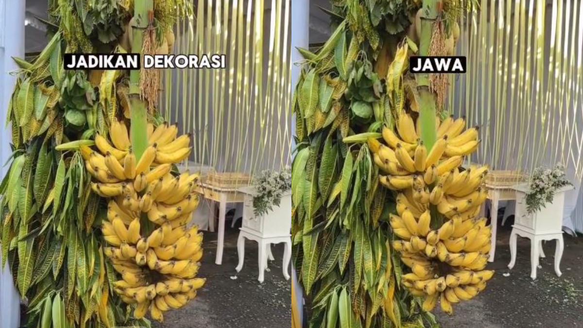 Keberadaan pisang raja dalam prosesi pernikahan Jawa ternyata memiliki filosofi mendalam.