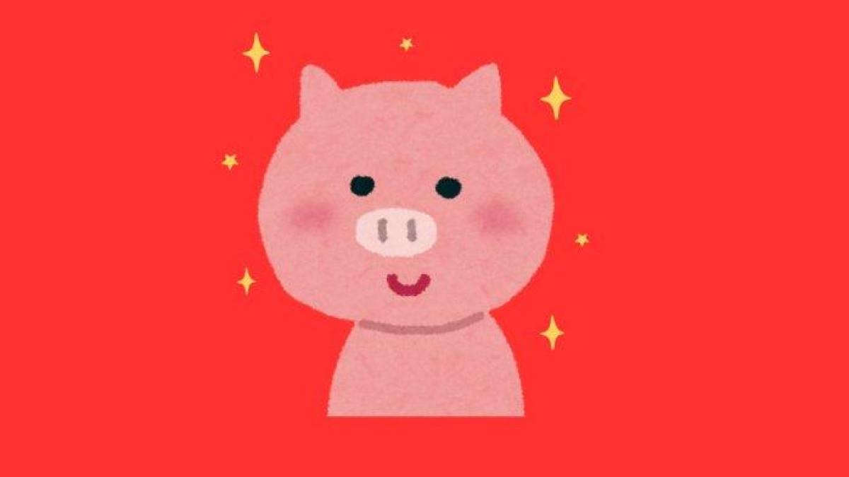 ILUSTRASI SHIO BABI - Lambang Shio Babi yang dibuat di Canva pada Jumat (13/6/2025).