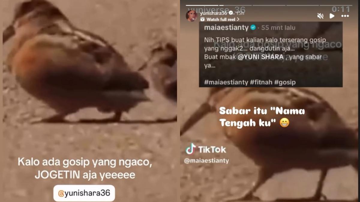 Maia Estianty mengunggah video seekor burung yang tampak berjoget, disertai pesan bernada sindiran.