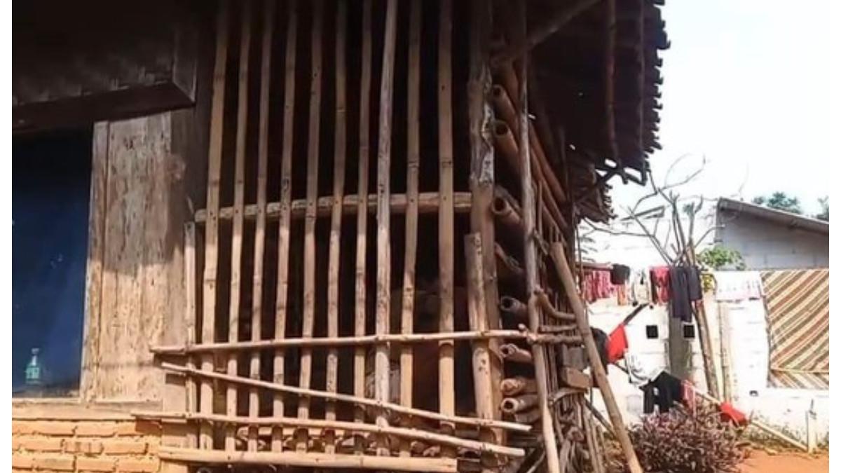 Dua tahun hidup dalam pasungan, wanita asal Tenjo Bogor akhirnya diselamatkan dari kandang bambu dan dirawat di RSJ Marzoeki Mahdi.