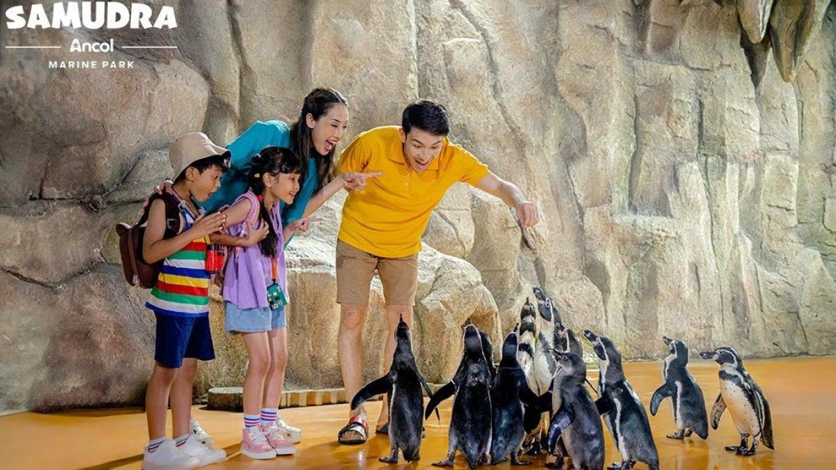 SAMUDRA ANCOL - Wisatawan yang liburan keluarga di Samudra Ancol Jakarta.