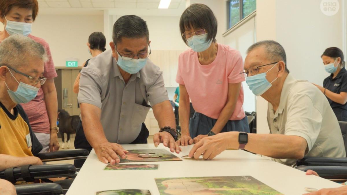 Studi menunjukkan bahwa terapi berbasis kuda dapat membantu meningkatkan kesehatan mental