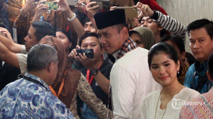 Tak Dukung Agus SBY Jadi Calon Gubernur Jakarta, Ini Alasan Logis Demokrat Pantas Pecat Ruhut